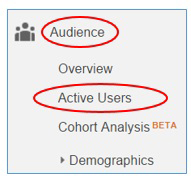 Active Users در Google Analytics