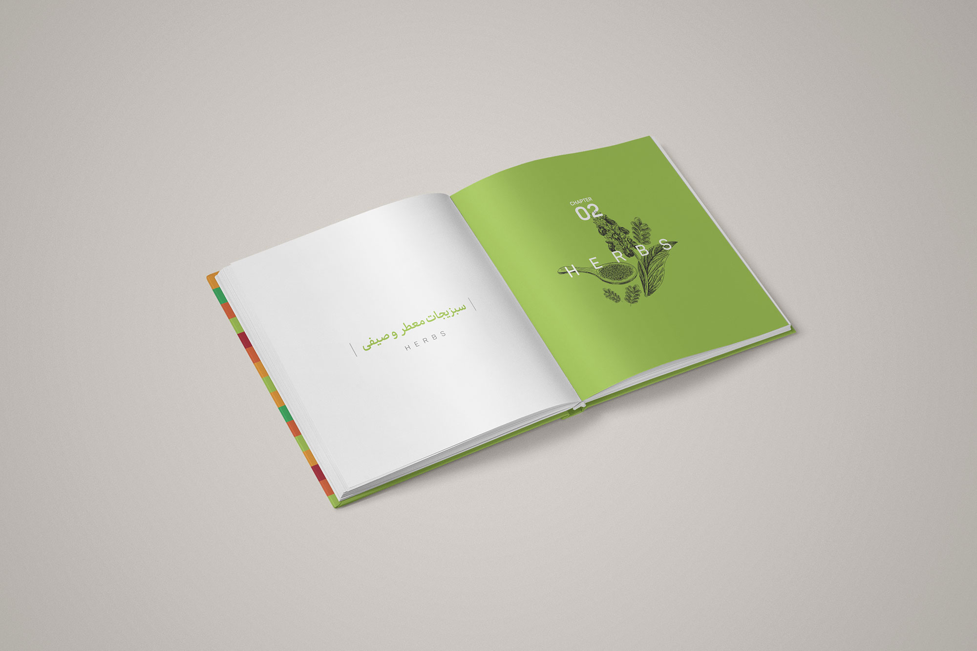 طراحی بروشور مزید