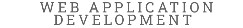 web application development