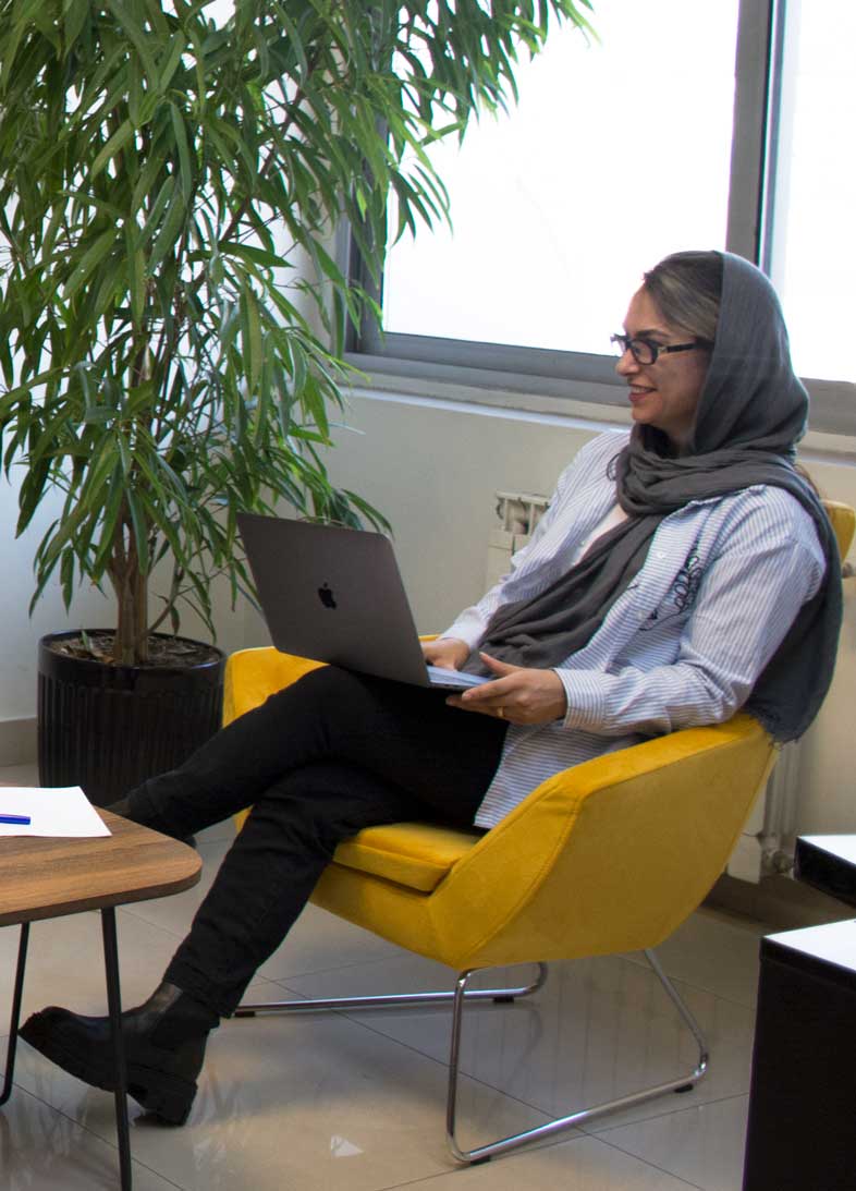 متخصصین سئو در هینزا